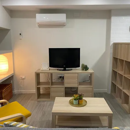 Apartment Loft Centrico 1