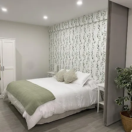 Apartment Loft Centrico 1 *